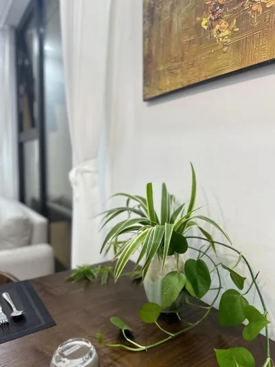 Luxury econest - Apartment with swimming pool & gym – 照片 14